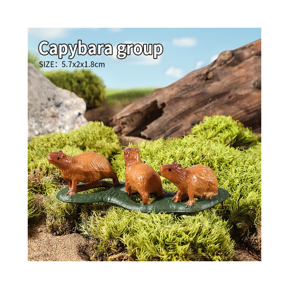 Maxpower (Capybara Group) Wild Animals Simulation Rodent Marmot Capybara Model Action Figure Figurine Collection Cute Kid Toy
