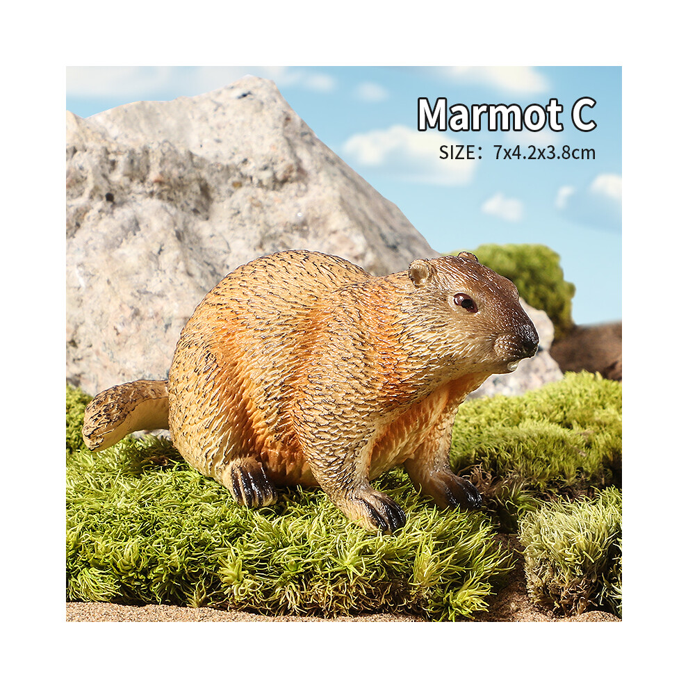 Maxpower (Marmot C) Wild Animals Simulation Rodent Marmot Capybara Model Action Figure Figurine Collection Cute Kid Toy