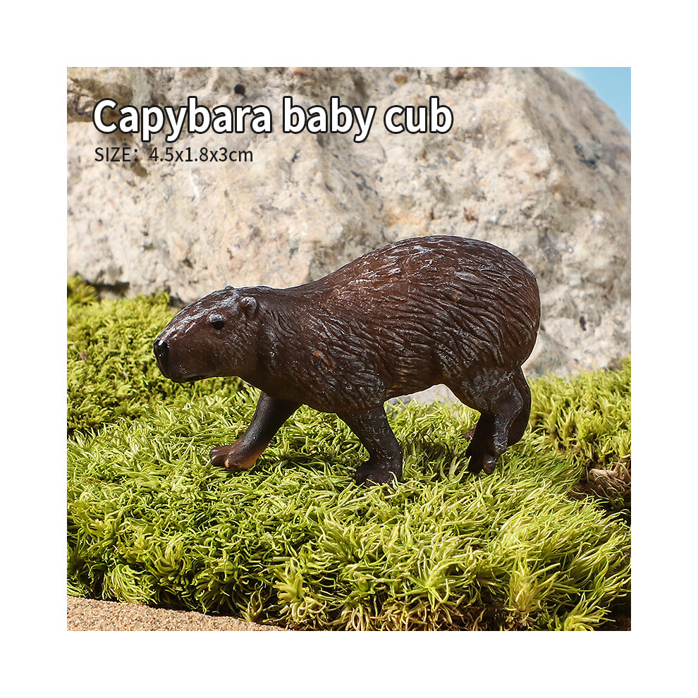 Maxpower (Capybara Cubs) Wild Animals Simulation Rodent Marmot Capybara Model Action Figure Figurine Collection Cute Kid Toy
