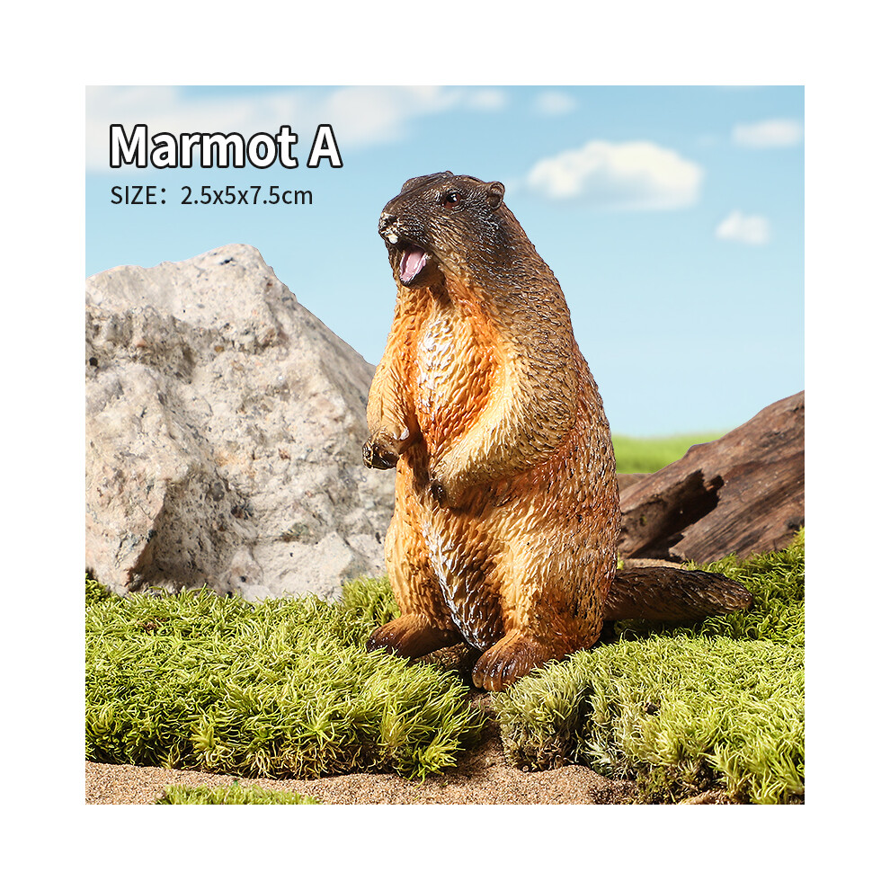 Maxpower (Marmot A) Wild Animals Simulation Rodent Marmot Capybara Model Action Figure Figurine Collection Cute Kid Toy
