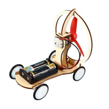 (2) DIY Mini RC Car Toy Model Assemble Kit Teaching Learning STEM School Lab Project Science Experiment