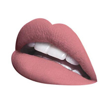 LA Splash Cosmetics Waterproof All Day Wear Liquid Matte Pink Lipstick Classic Hollywood Horror Collection [2017 LIMITED EDITION] (Christine