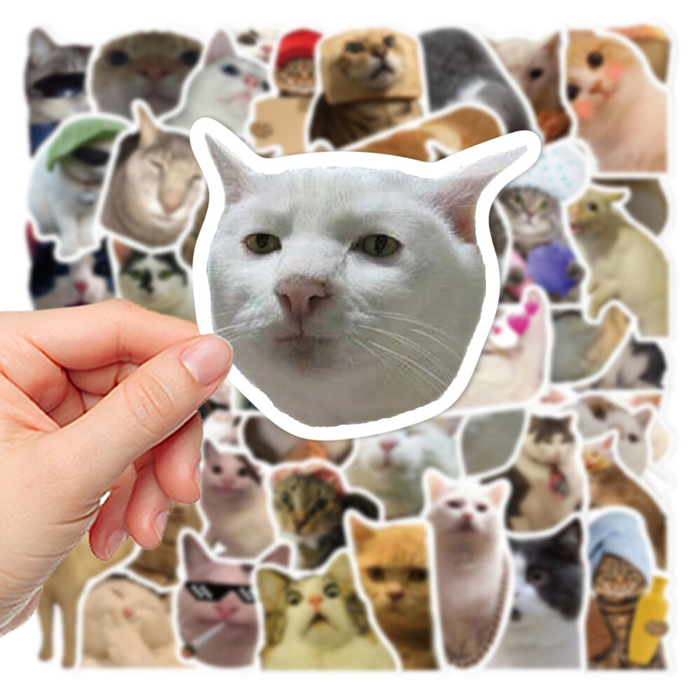 (50pcs) 10/50Pcs Funny Cat Stickers Meme Scrapbook Suitcase Skateboard Laptop Graffiti Luggage Decal Animal Children Stickers Toy Gift