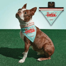Happy Heckin Holidays Pet Bandana Festive Cat & Dog Accessory