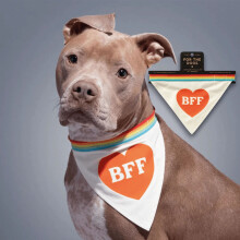BFF Pet Bandana Cute Accessory for Cats & Dogs, Soft Cotton