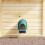 VidaXL vidaXL Chicken Nesting Boxes 4 pcs Wall-Mounted Dark Green Plastic 3