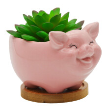 Cuteforyou sukkulente potter S?de dyregriseformede keramiske kaktusblomster med bambusbakke - Plante medf?lger ikke (pink 5,11 tommer)