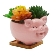 Cuteforyou sukkulente potter S?de dyregriseformede keramiske kaktusblomsterplanter med bambusbakke - Plante medf?lger ikke (Pink 6 tommer)
