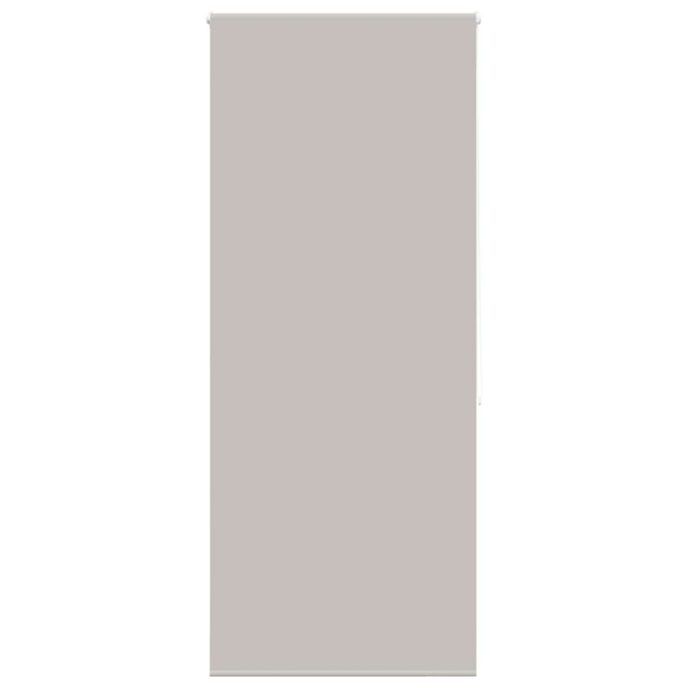 Vidaxl (Light Grey, 100 X 240 Cm) Shower Roller Blind Fabric Shower Blind