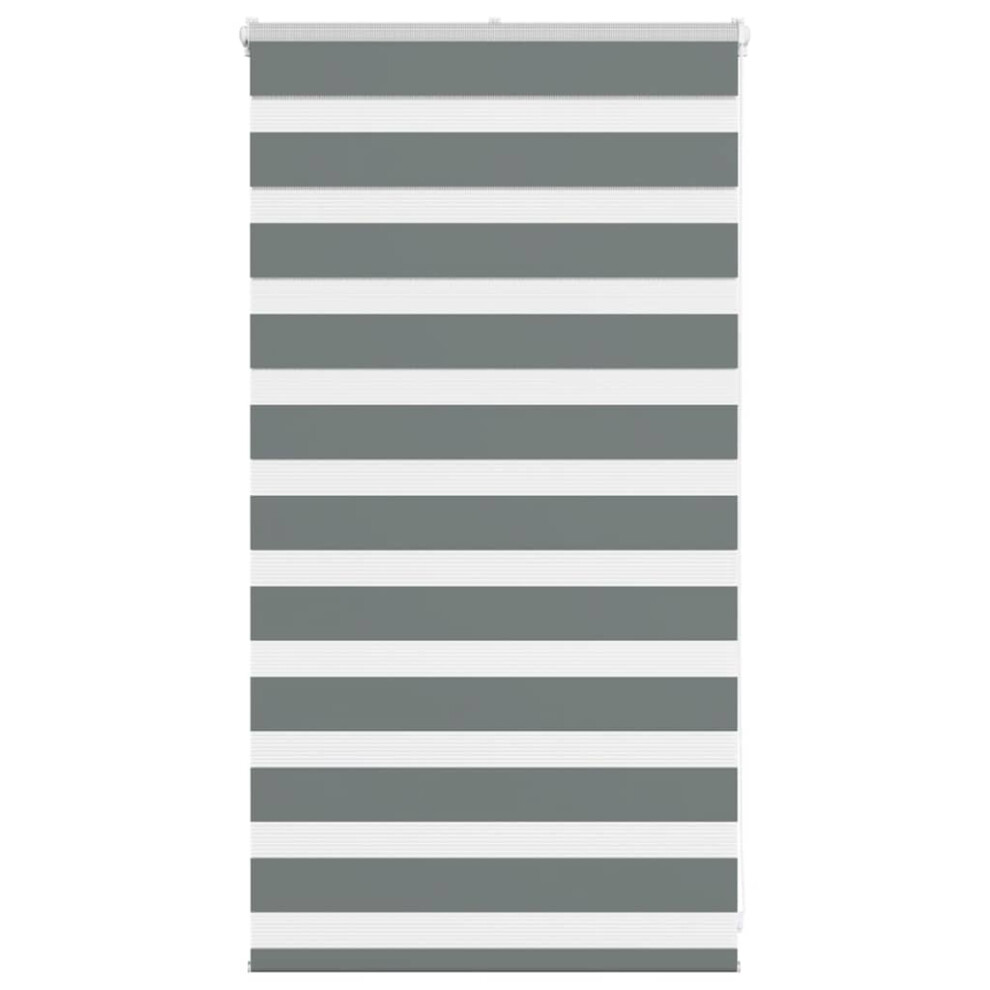 Vidaxl (Dark Grey, 85 X 100 Cm) Zebra Blind Fabric Polyester