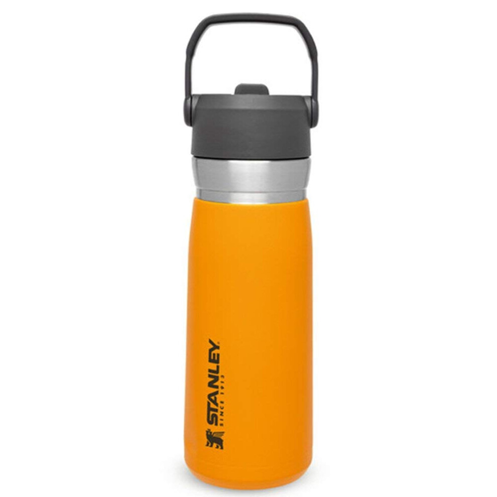 STANLEY IceFlow Stainless Steel Water Bottle with Straw 0.65L - Keeps Cold For 12+ Hours - Leakproof Insulated Water Bottles - BPA-Free Thermos Flask