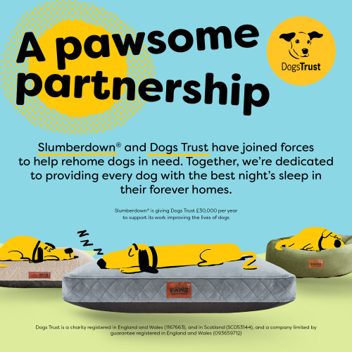 Slumberdown (Navy, Extra Large) Paws for Slumber Donut Pet Bed 2