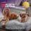 Slumberdown (Grey, Extra Large) Paws for Slumber Padded Pet Bed UK Made 15
