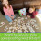 The Learning Journey: Match It! - ABCs - Πάζλ Αλφάβητου, Πάζλ για 2 Ετών, Πάζλ για Παιδιά 3-5 Ετών 4