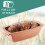Rmertopf 25005 Pane Clay Bread Form MADE IN GERMANY 3
