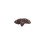 Fender Fender Κλασικά Πικ Ακκόρντο 351 Σχήμα, Τortoise Shell, Βαριά, 12-Πακέτο 1
