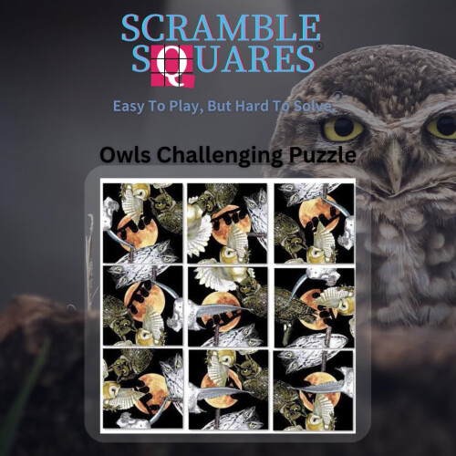 B.Dazzle Scramble Squares Κουκουβάγιες 9 Τεμαχίων Παζλ - Δοκιμασία Εγκεφάλου για Όλους 1