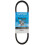 DAYCO HP3012 CINTO DE DIZER HI-PERF 1