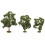 BACHMANN Bachmann Trains - SCENE SCAPES - 2""""- 3"""" WALNUT TREES (3 per box) - HO Scale 1