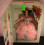 Barbie Barbie Mattel Μεγάλες Εποχές Κούκλα Νότιας Κυρίας 1850's 2