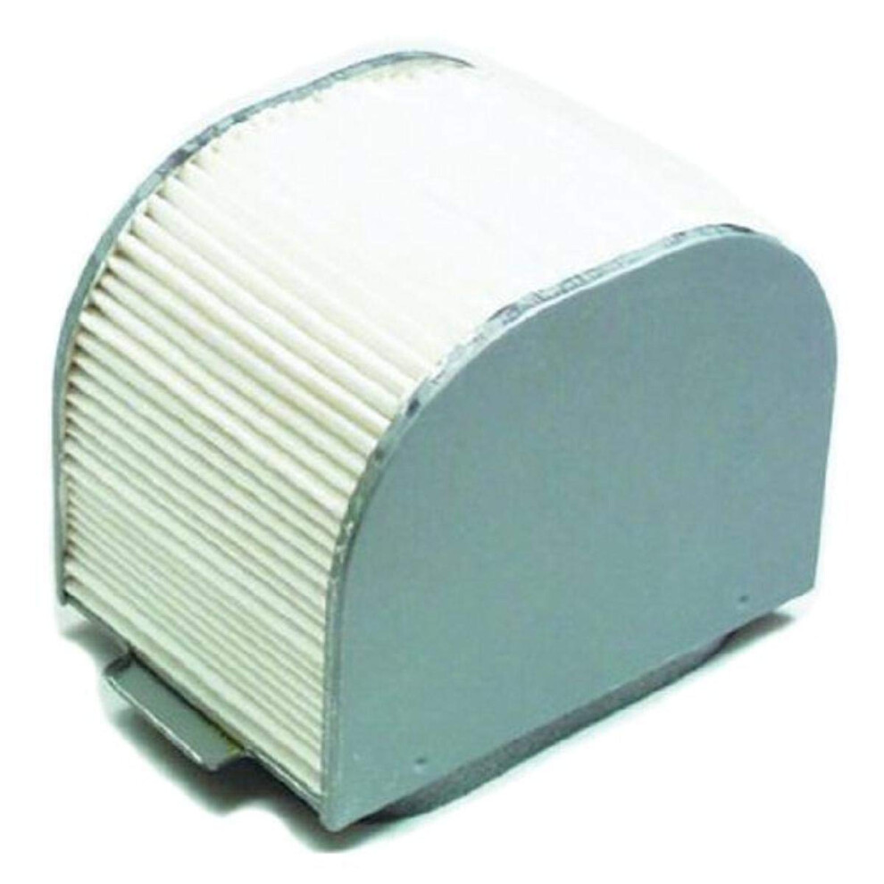 Hiflofiltro HFA4609 Premium OE Replacement Air Filter  Black
