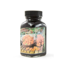 Noodler's Fountain Ink 3 oz Bottle Habannero (19021)