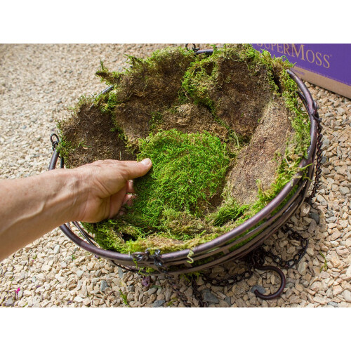 SuperMoss (21509) Διατηρημένο Φύλλο Μοσχευμάτων, Φρέσκο Πράσινο, 2oz 2