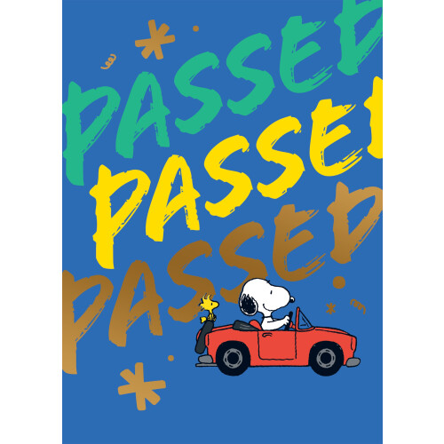 Peanuts Snoopy Passed Driving Test Card