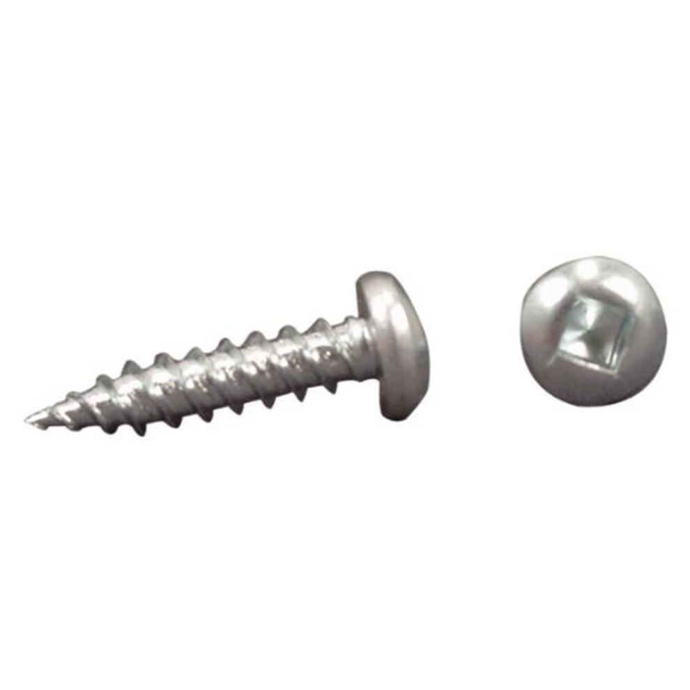 Ap Products 012-Psq500 W 8 X 1-1/2 White Pan Head Square Recess Screw - Pack Of 500 670567159901