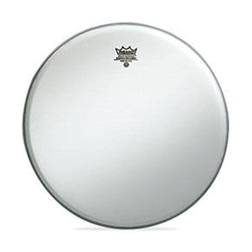 Remo Embaixador X Drumhead 12 """"