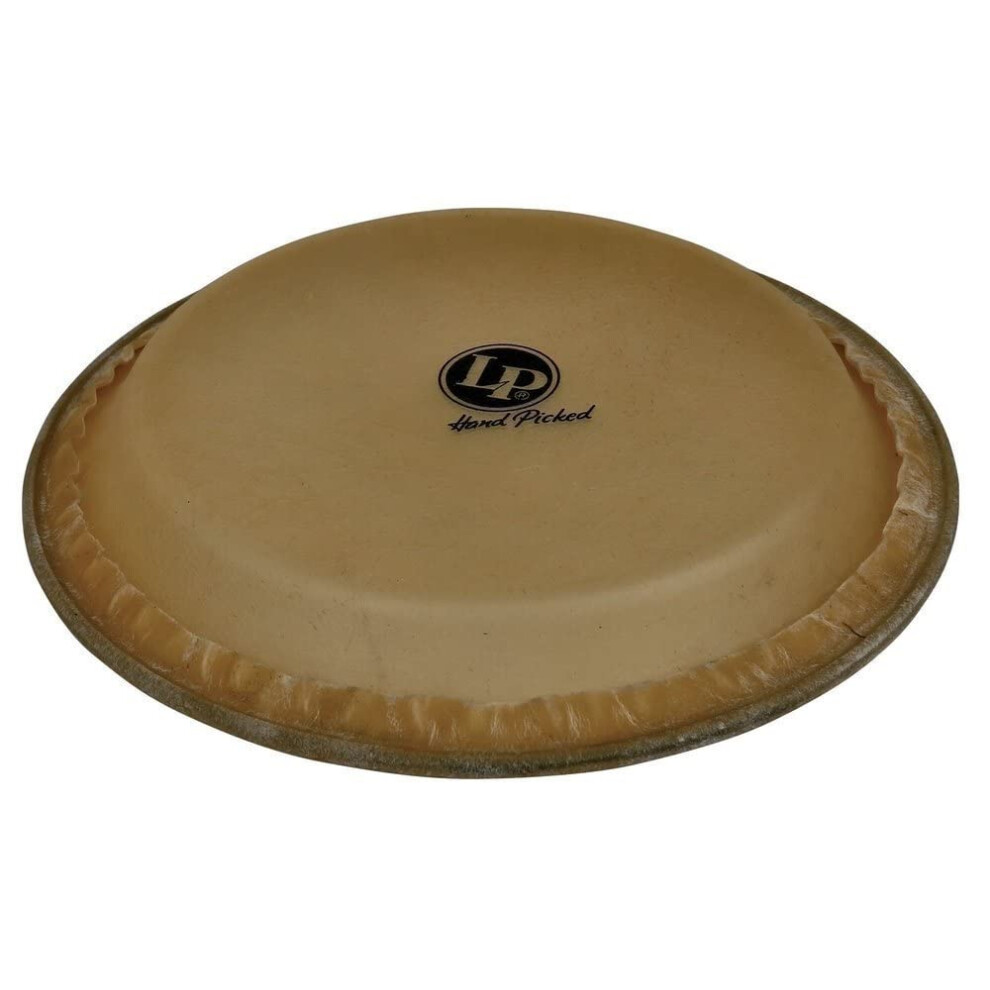 LP Conga Head (12.5)