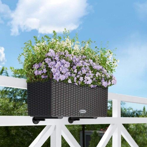 Staffa Lechuza Balconera - Nera 1