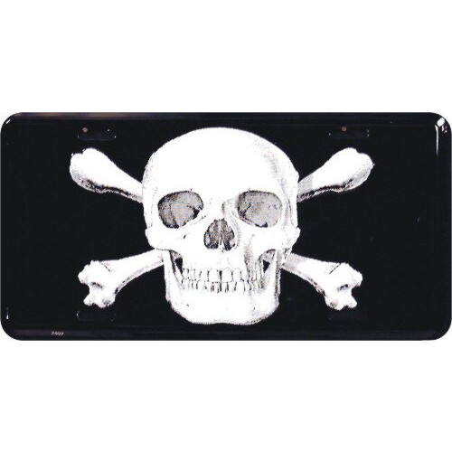 Skull Logo Metal nummerplade 6 x 12