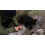 Microsoft Kinect Nat Geo TV - Xbox 360 4