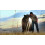 Microsoft Kinect Nat Geo TV - Xbox 360 5