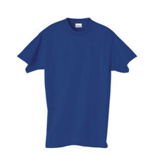 Hanes Herren Classics 6er-Pack T-Shirts mit Rundhalsausschnitt Deep Red/Deep Royal