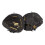 Mizuno Mizuno Prospect gxc112 Mitt do apanhador de jovens (31,5 polegadas) destro 1
