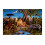 York Wallcoverings Παιδικό Μural MP4962M Ζούγκλα, Πολυ 1