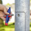 Knipex Knipex - Universal Control Cabinet Key-Pen Style (001107) 5