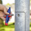 Knipex Knipex - Universal Control Cabinet Key-Pen Style (001107) 2