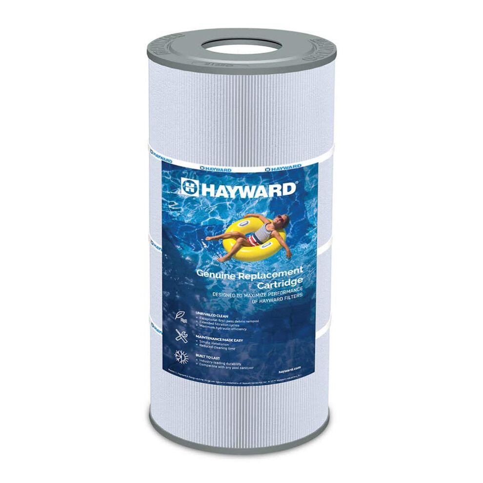 l   ment de cartouche de rechange Hayward CX481XRE pour filtre Hayward SwimClear C2030