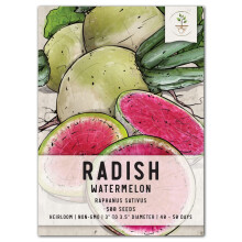 Zaadbehoeften, Watermeloenradijszaden - 500 erfgoedzaden voor het planten van Raphanus sativus - Non-GMO & Onbehandeld (1 verpakking)