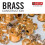 Braço e Flange de Chuveiro Delta U4993-PB, Latão Polido 2