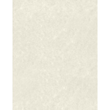 Luxpaper 8.5 """" x 11 """" papper | Brevstorlek | Bl pergament | 60lb. Text | 50 QTY
