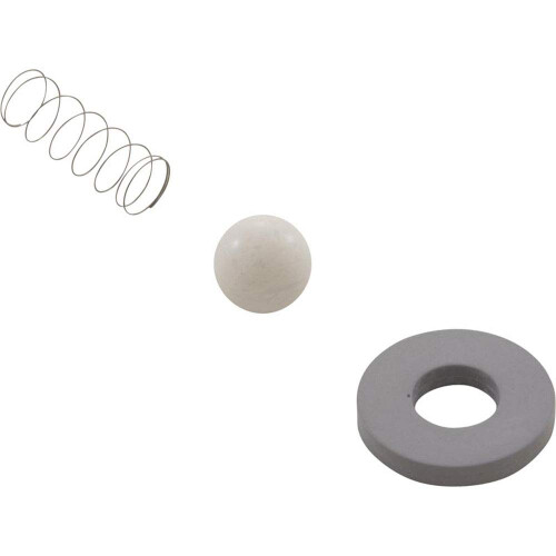 Mazzei Rebuild Kit Check Valve #1584 CR4 1