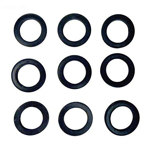 Raypak Tätningar Header Set 155B 800086B