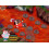 LeapFrog Leapfrog Disney Junior Jake og Never Land Pirates Learning Game 5