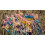 Cai acadele de ciocolata cu bomboane de ciocolata Western My Little Pony 3307 2