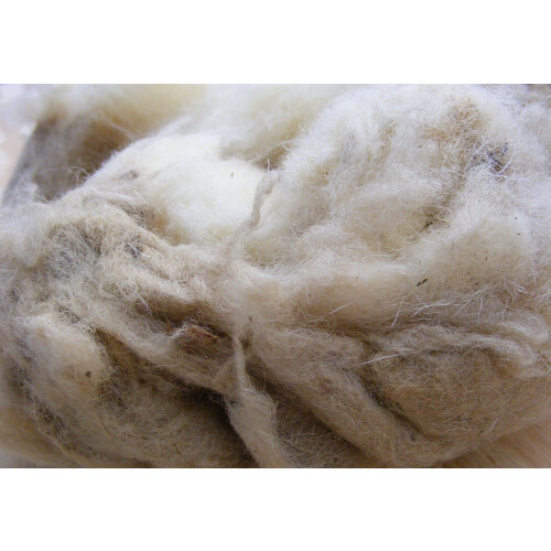 Flowing River Farm - Lana di pecora grezza - 12 oz 1