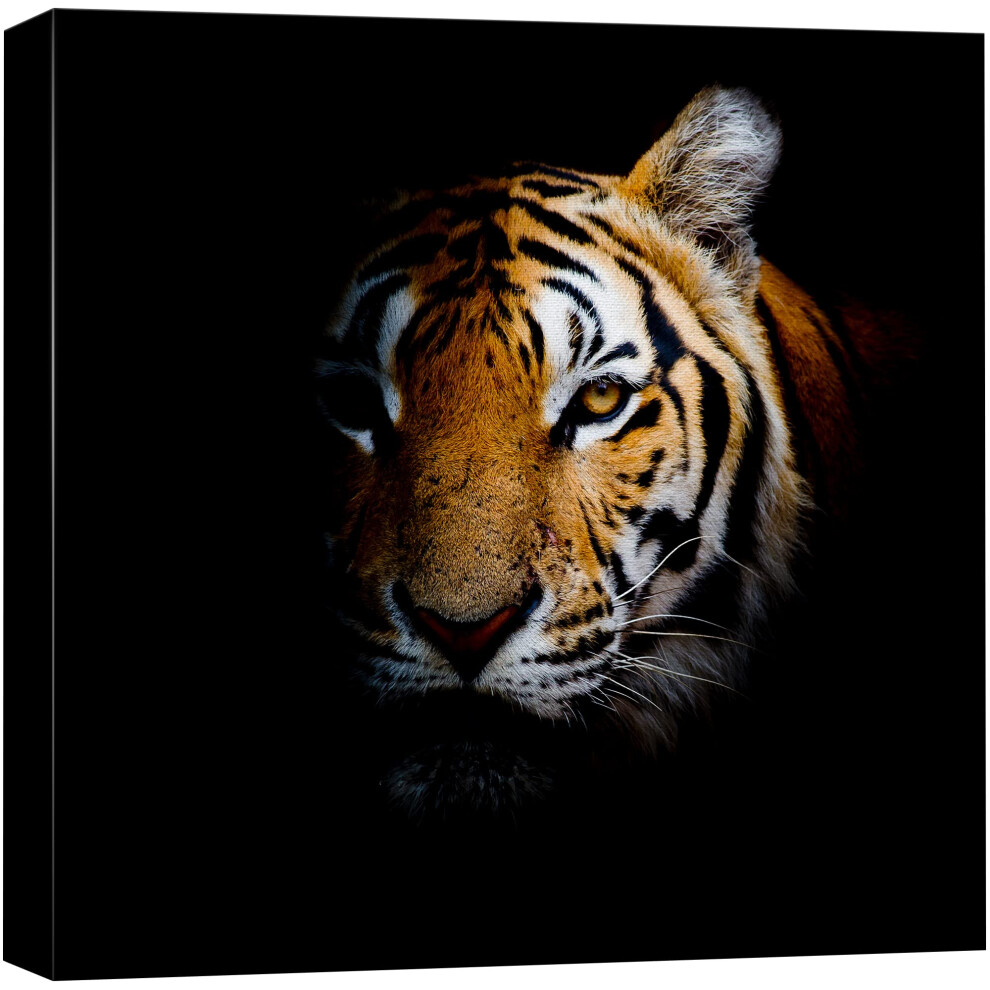 Impression Gicl E Sur Toile Murale Wall26 - D Coration D'int Rieur (Tigre 24"" X 24"")-image